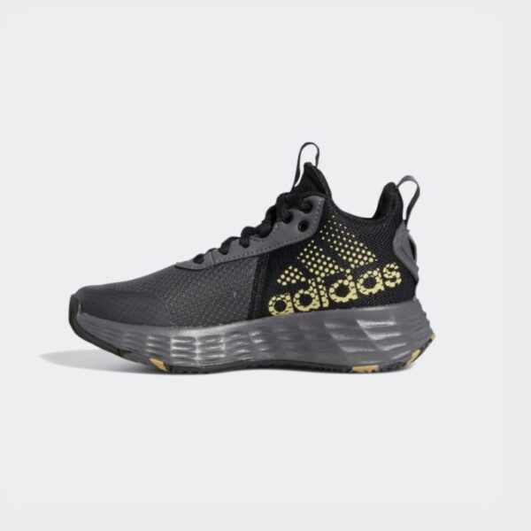 Adidas ownthegame  2.0