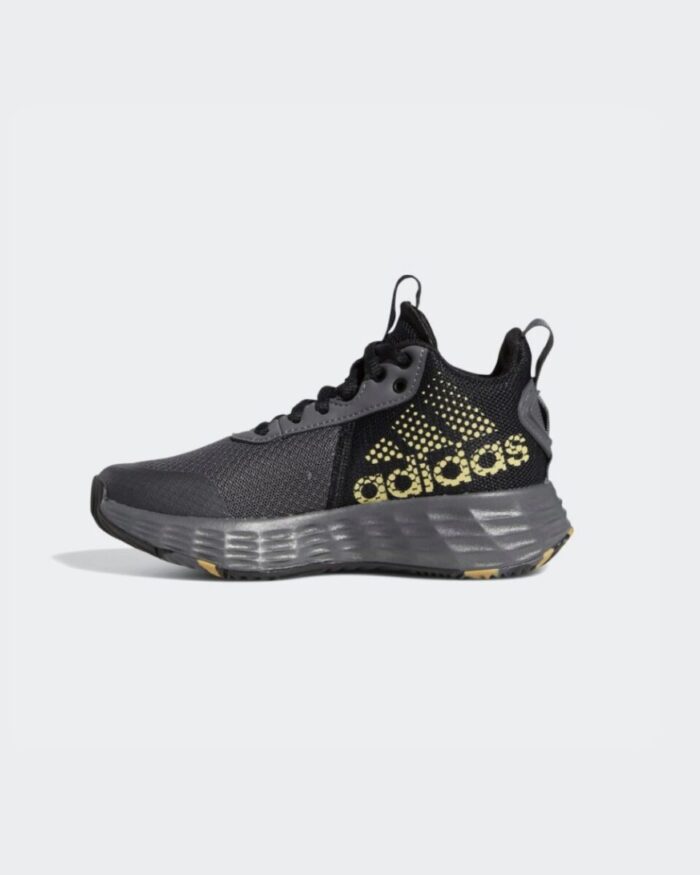 Adidas ownthegame  2.0