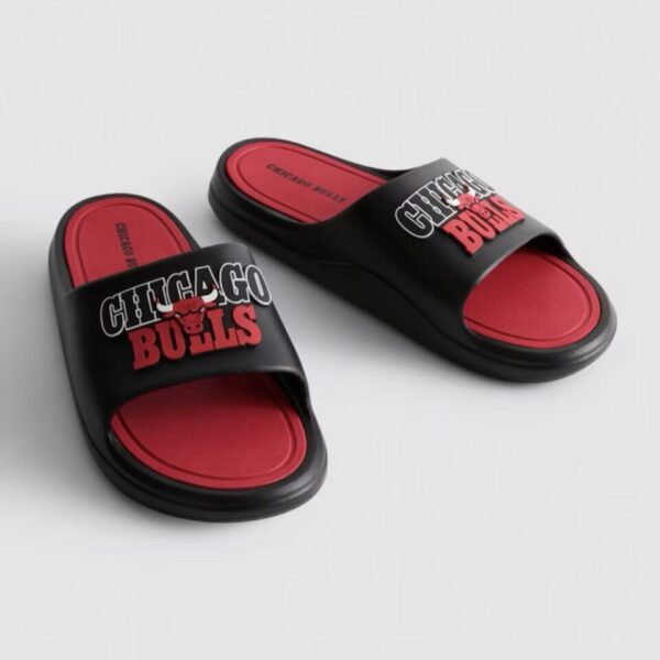 d1540570-179c-4010-8210-01e944c90947-2 NBA Chicago Bulls