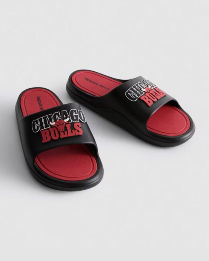 d1540570-179c-4010-8210-01e944c90947-2 NBA Chicago Bulls