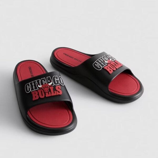 img_0934-2 NBA Chicago Bulls