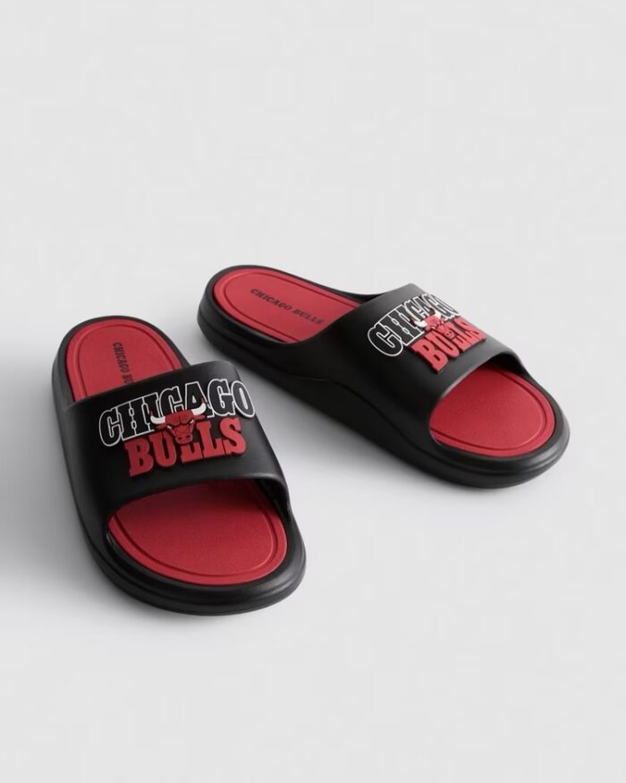 img_0934-2 NBA Chicago Bulls