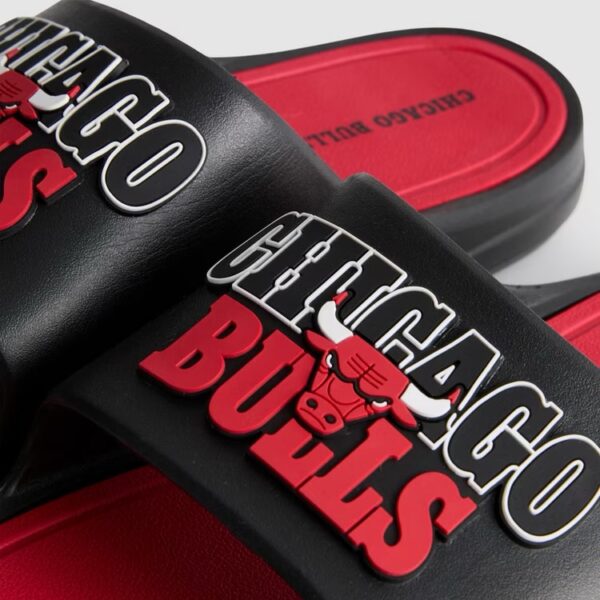 img_0938-4 NBA Chicago Bulls